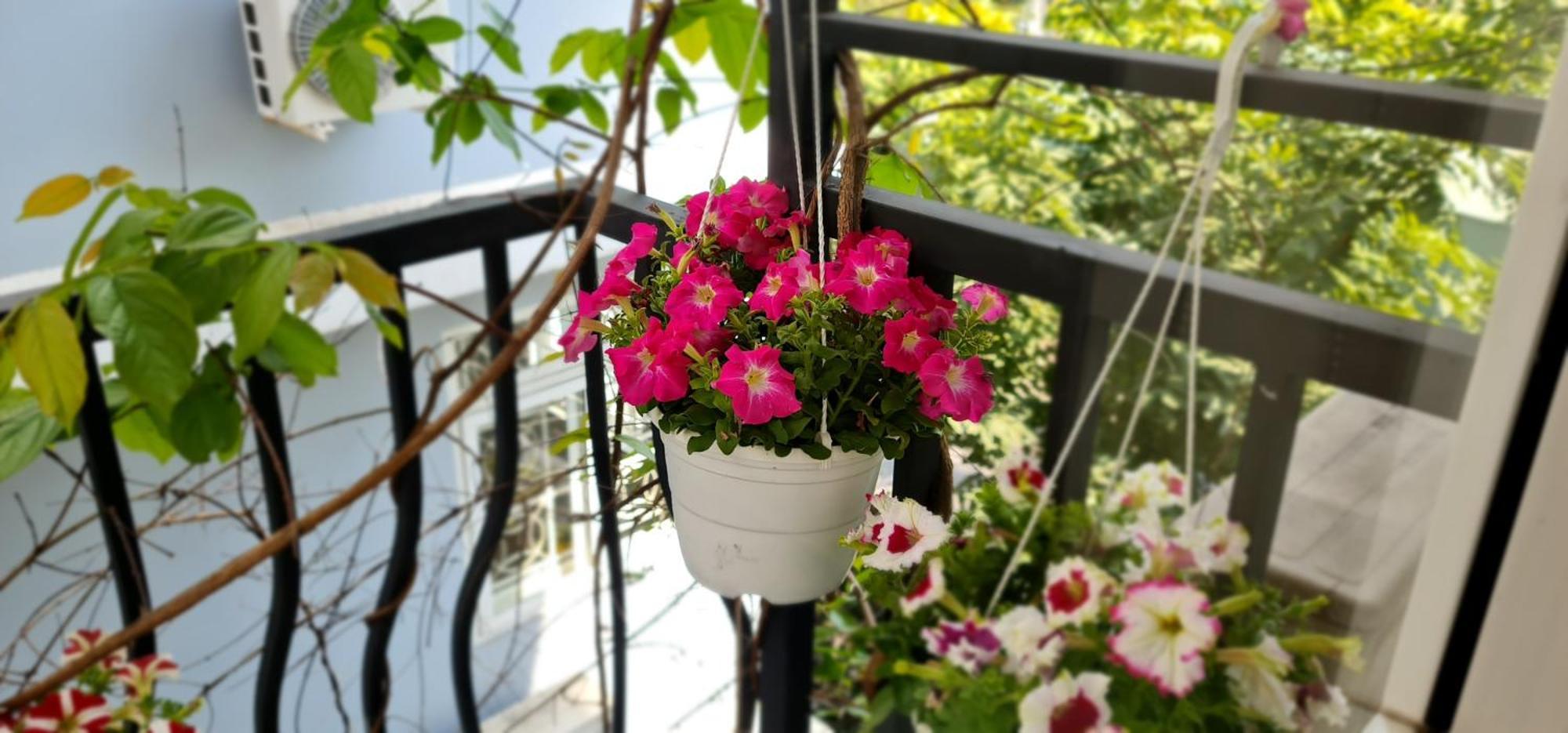 Spring Light Home Хошимин Экстерьер фото